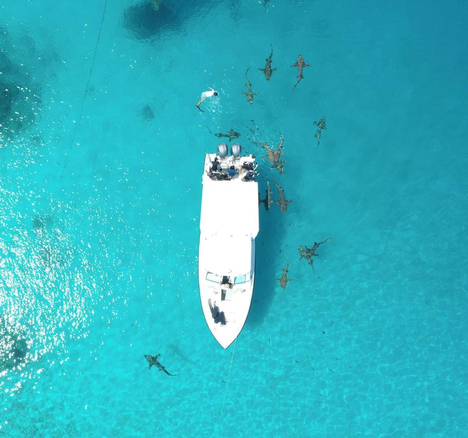 Ecoboo Maldives Hotel Thinadhoo  Exterior photo